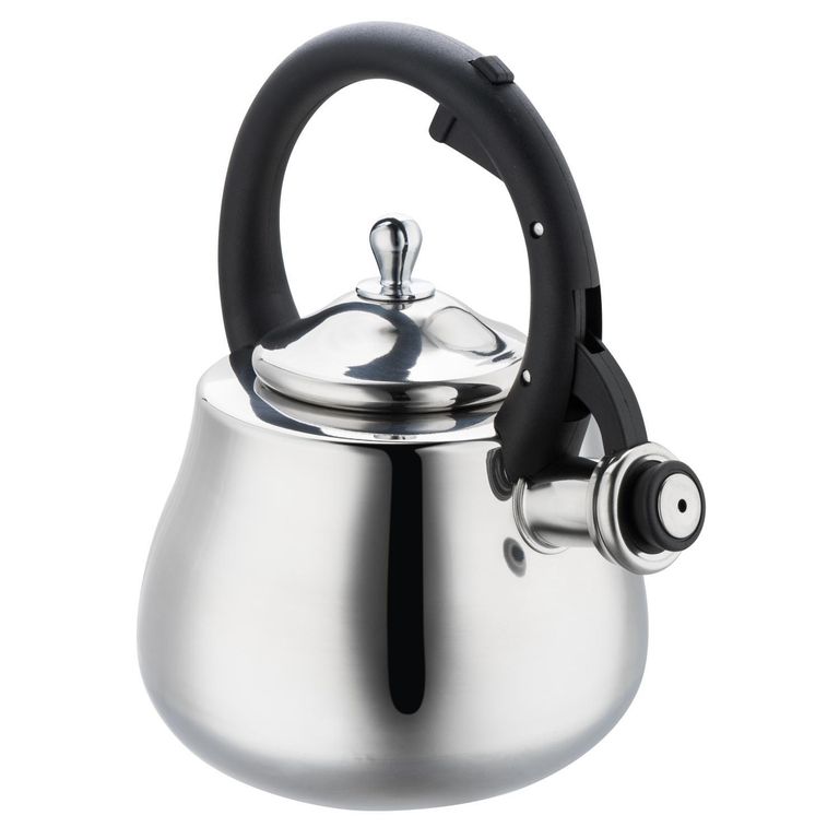 Tetera de Acero Inoxidable 2.8 L Plateado y Negro