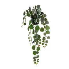 JUST HOME COLLECTION - Planta Artificial Ceropegia 60 cm Verde