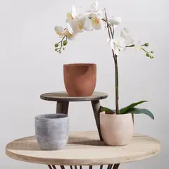 JUST HOME COLLECTION - Maceta de Cerámica 14cm Surtido