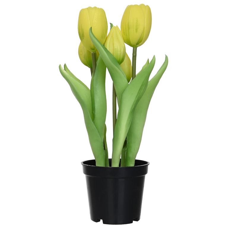 8 cm Amarillo